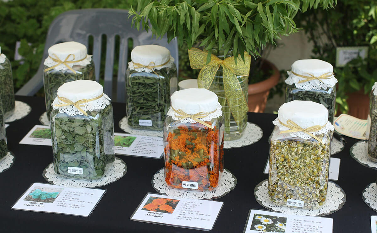 خرید سبزی خشک