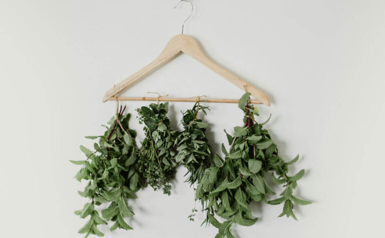 خرید سبزی خشک