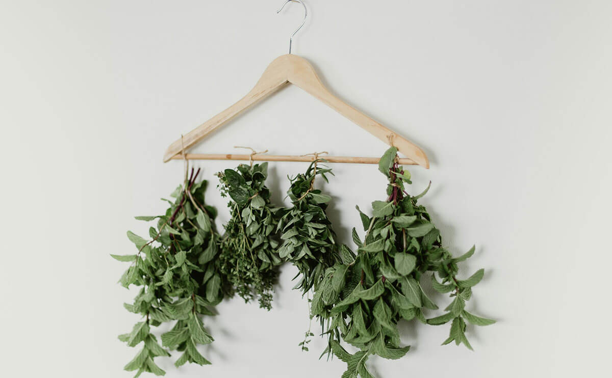 خرید سبزی خشک